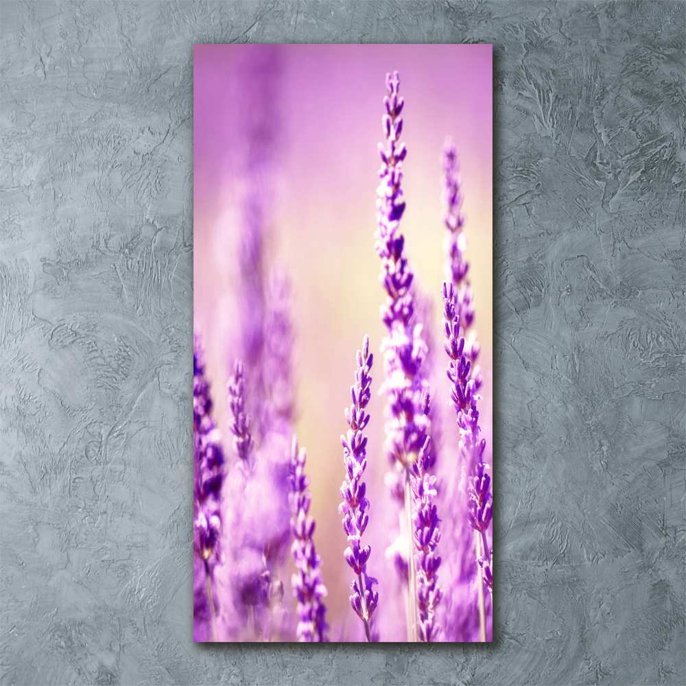 Print on acrylic glass Lavender