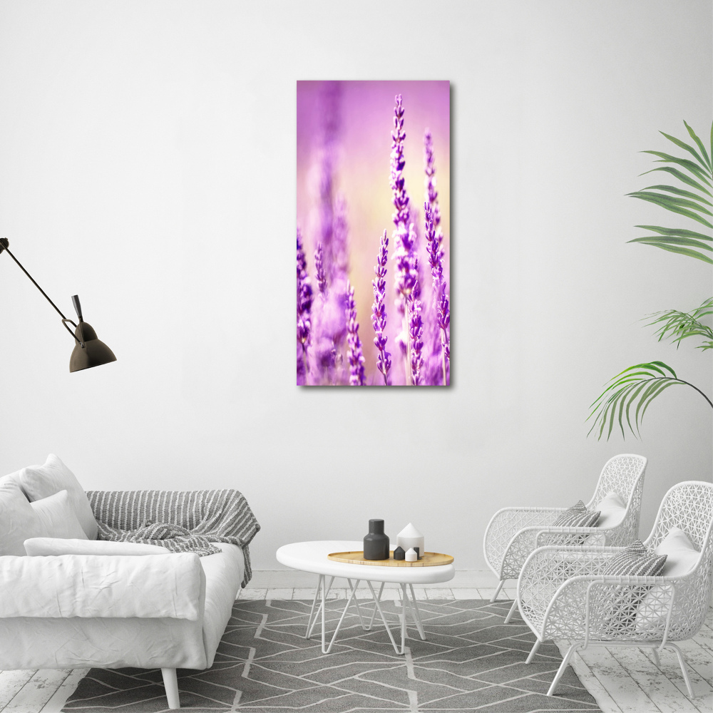 Print on acrylic glass Lavender