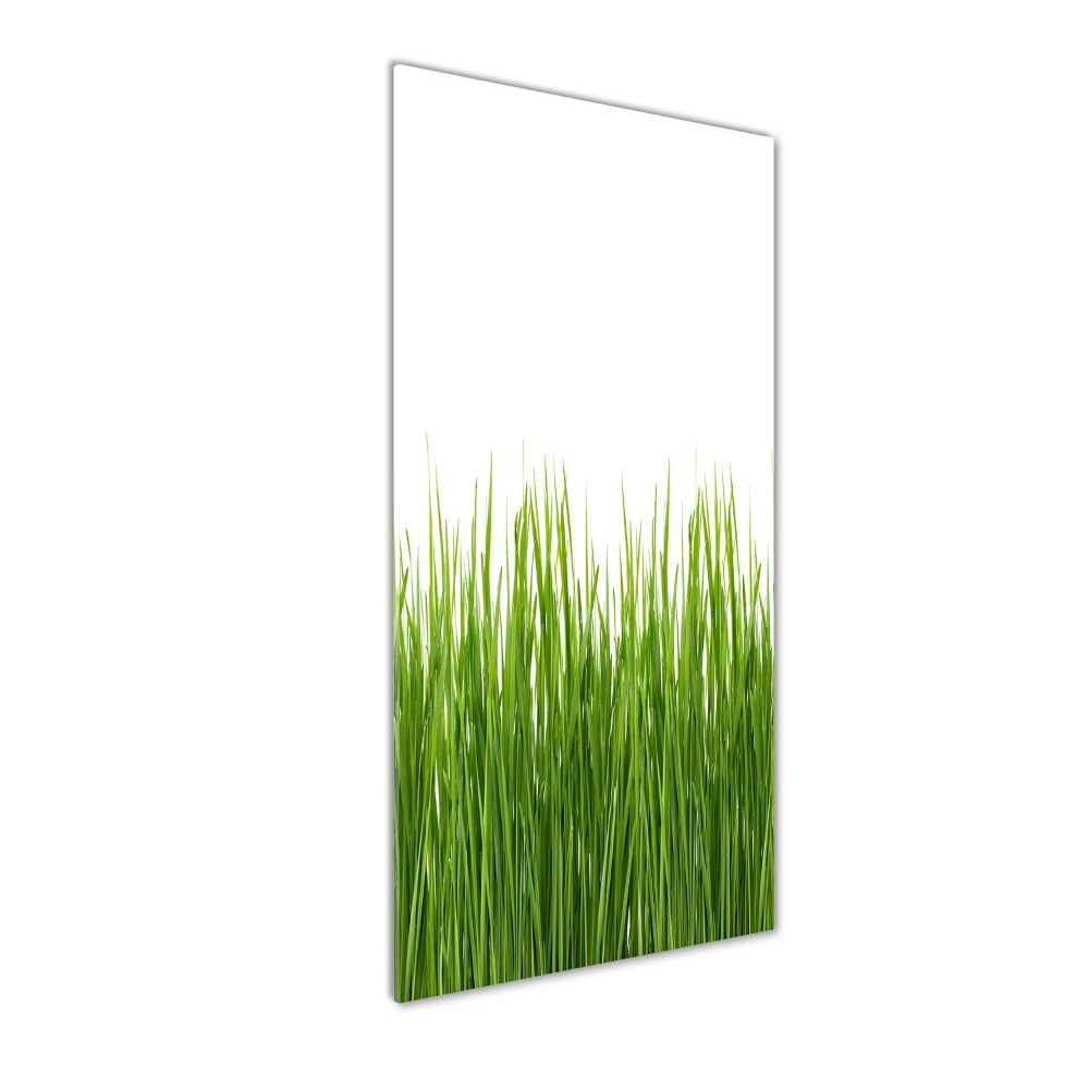 Print on acrylic green grass