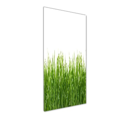 Print on acrylic green grass