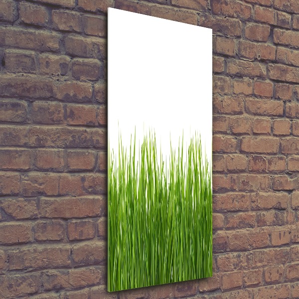 Print on acrylic green grass