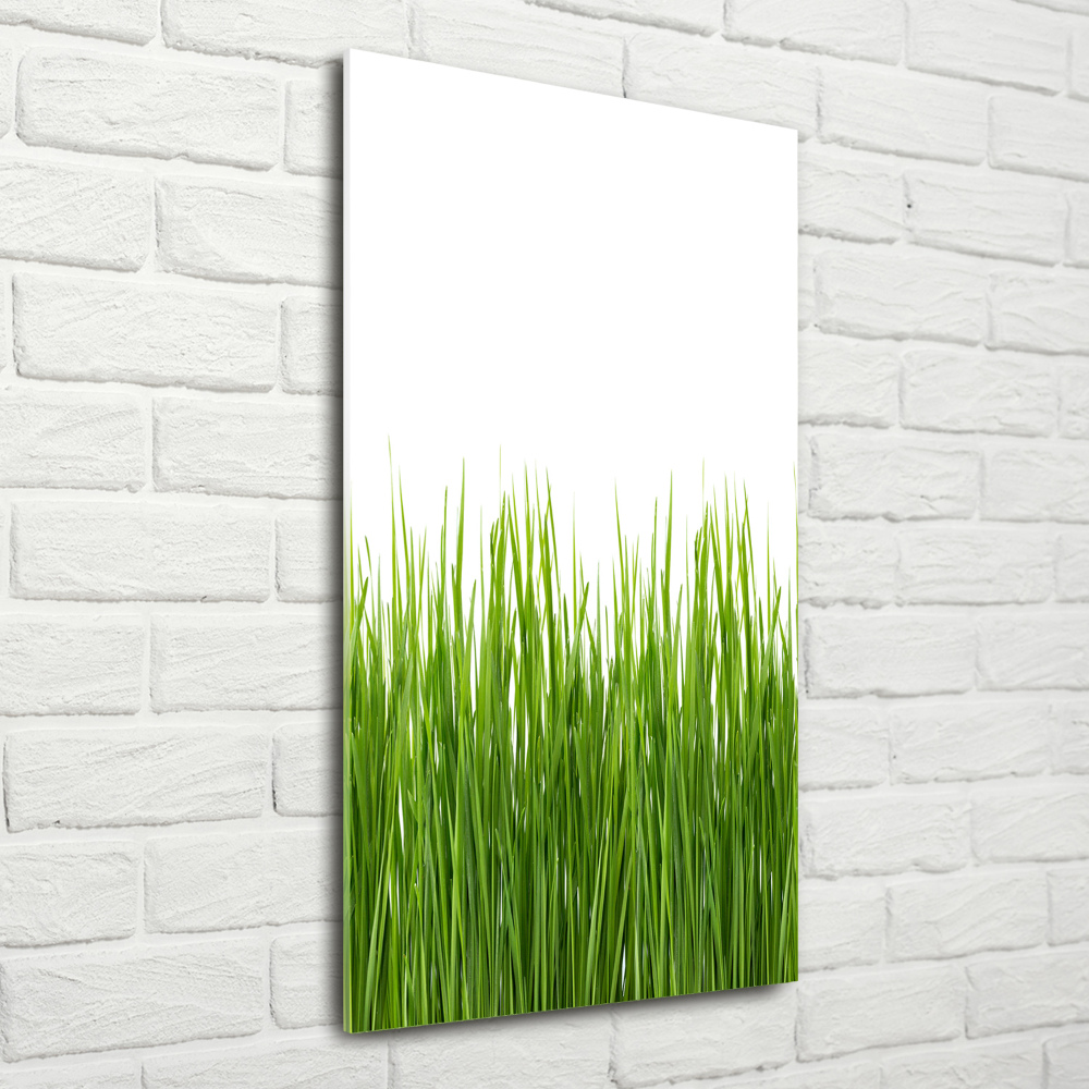 Print on acrylic green grass