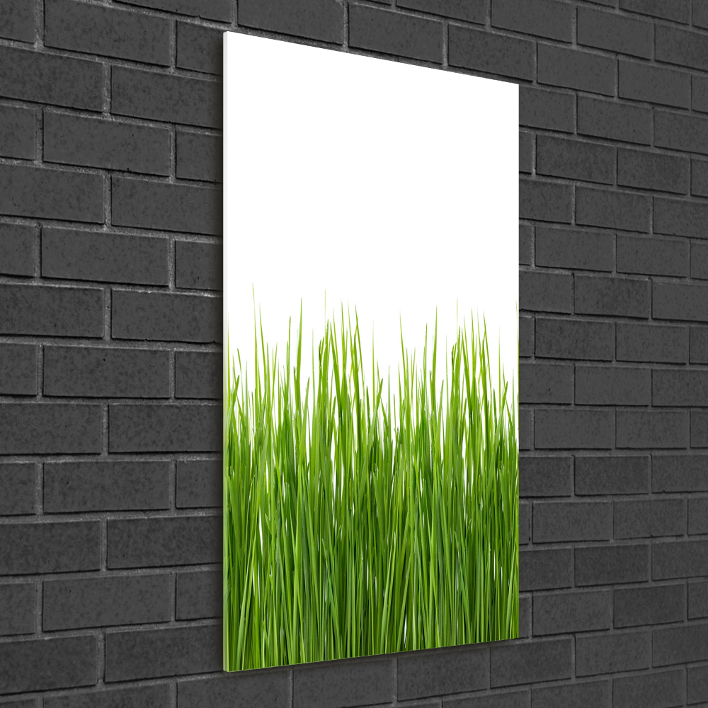 Print on acrylic green grass