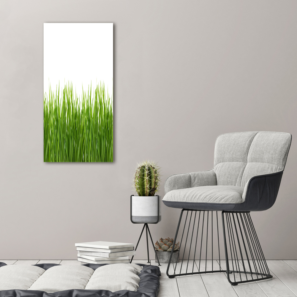 Print on acrylic green grass