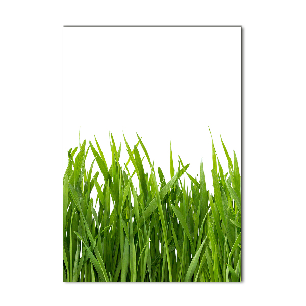 Print on acrylic green grass