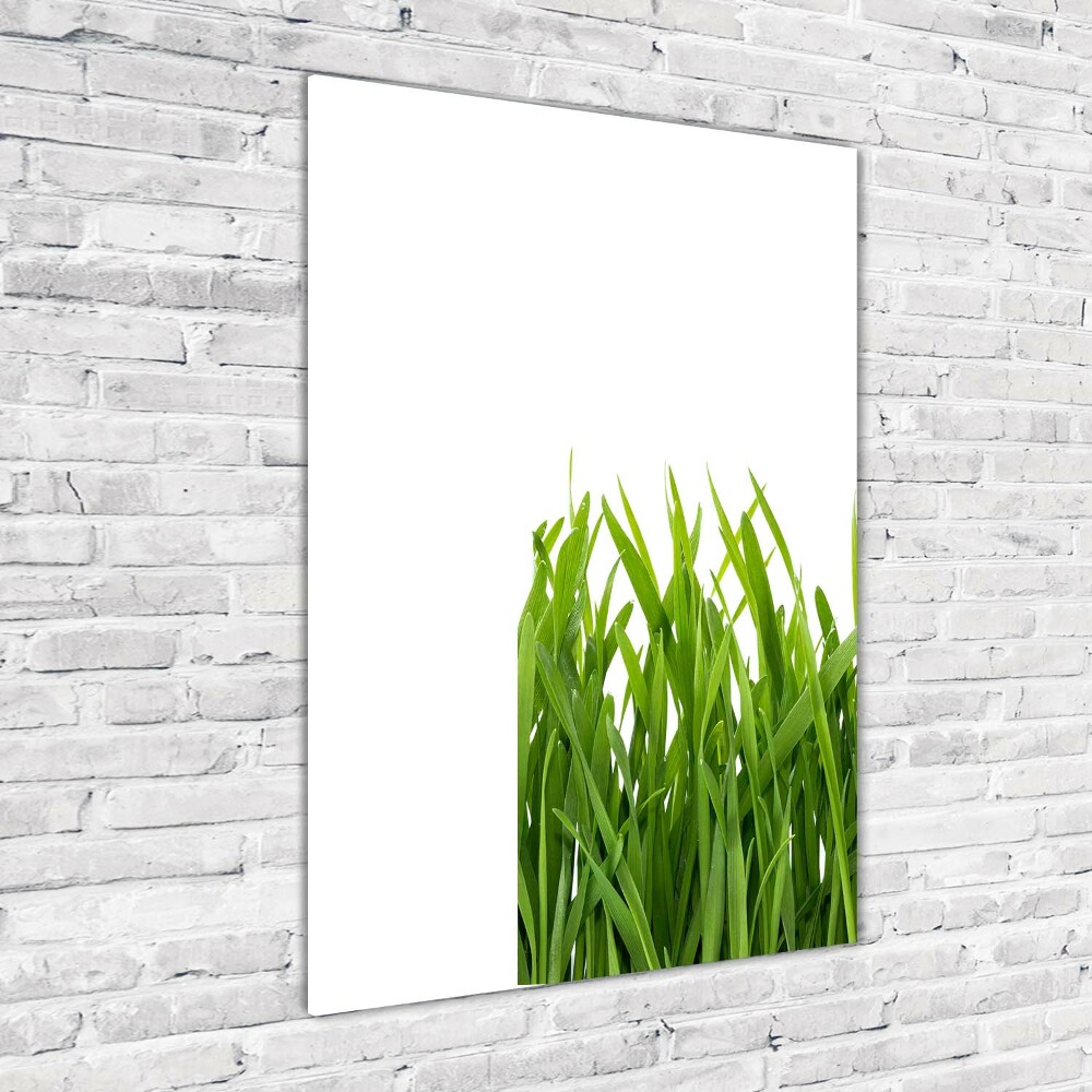 Print on acrylic green grass