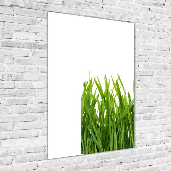 Print on acrylic green grass