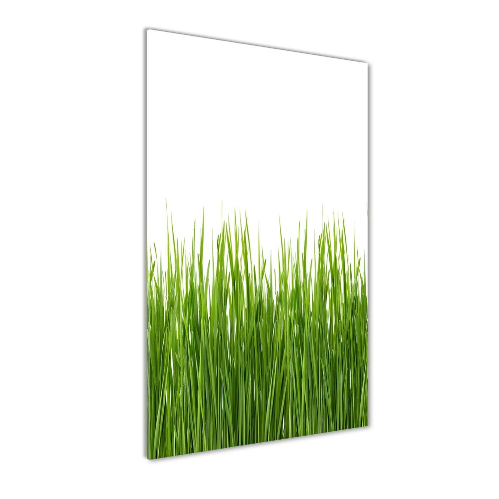 Print on acrylic green grass