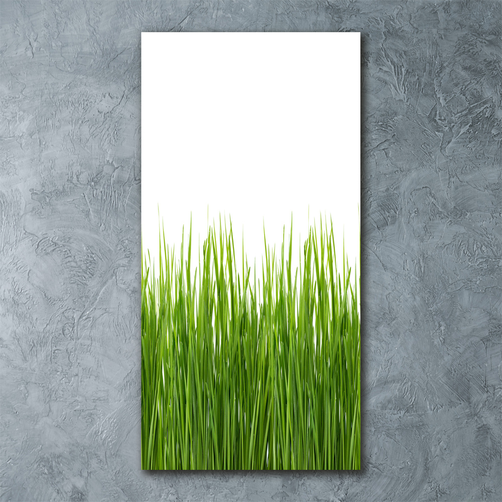 Print on acrylic green grass