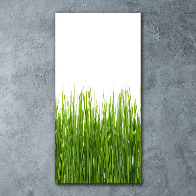 Print on acrylic green grass