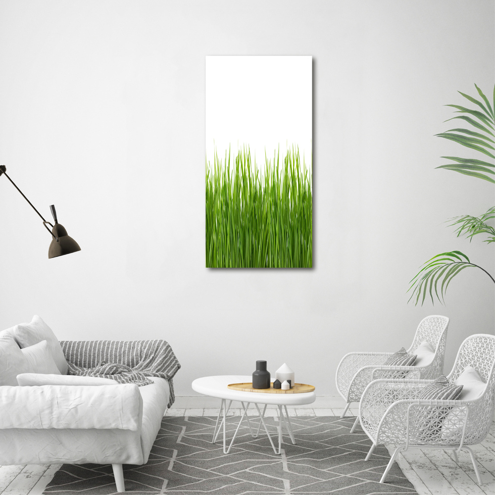 Print on acrylic green grass