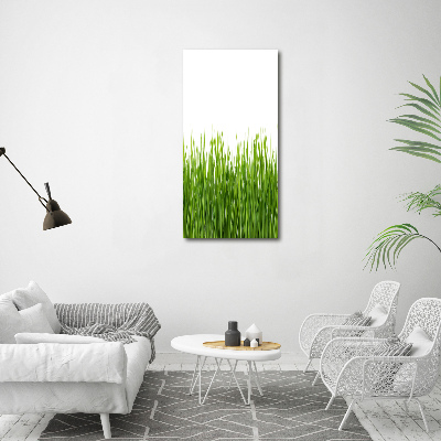 Print on acrylic green grass