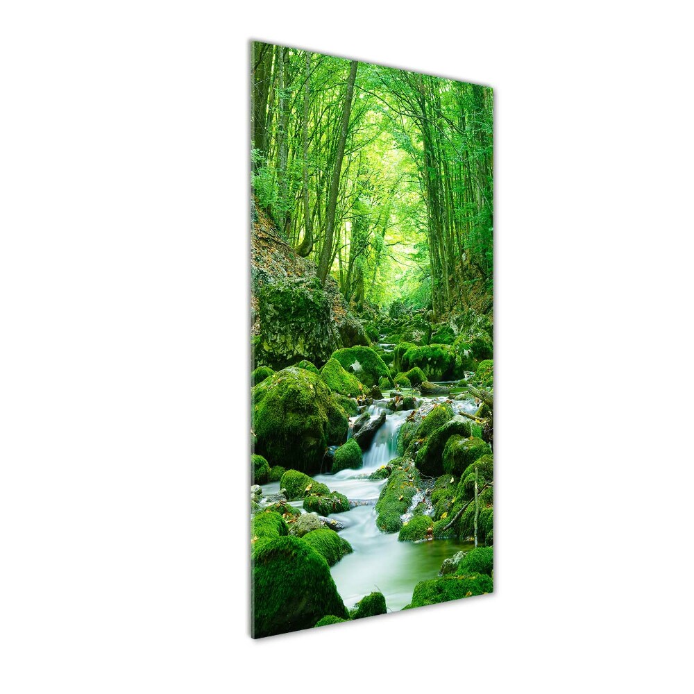 Wall art acrylic A stream in the jungle