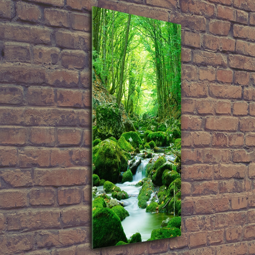 Wall art acrylic A stream in the jungle