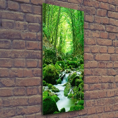 Wall art acrylic A stream in the jungle