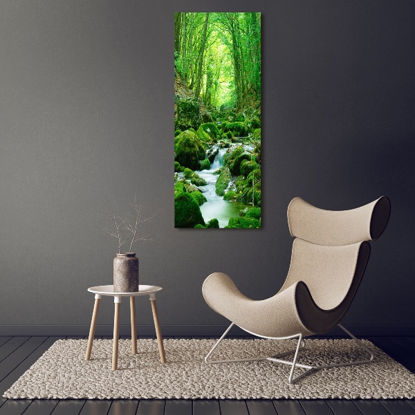 Wall art acrylic A stream in the jungle