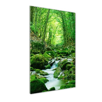 Wall art acrylic A stream in the jungle