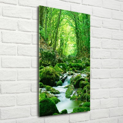 Wall art acrylic A stream in the jungle