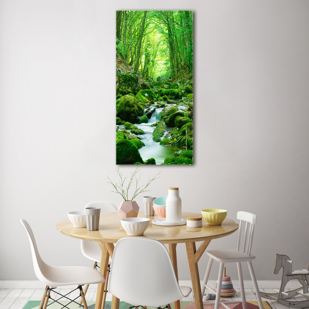 Wall art acrylic A stream in the jungle