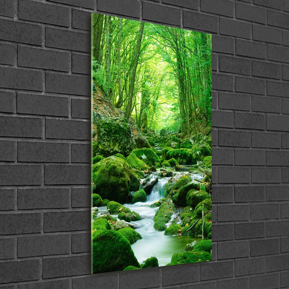 Wall art acrylic A stream in the jungle