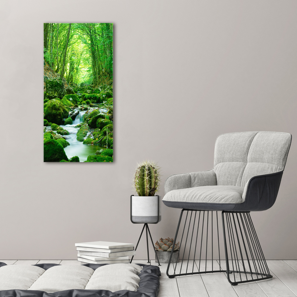 Wall art acrylic A stream in the jungle