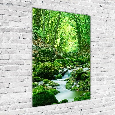 Wall art acrylic A stream in the jungle