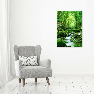 Wall art acrylic A stream in the jungle