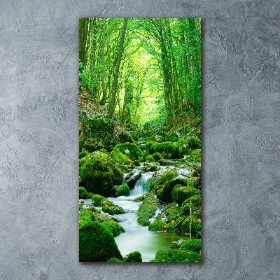 Wall art acrylic A stream in the jungle