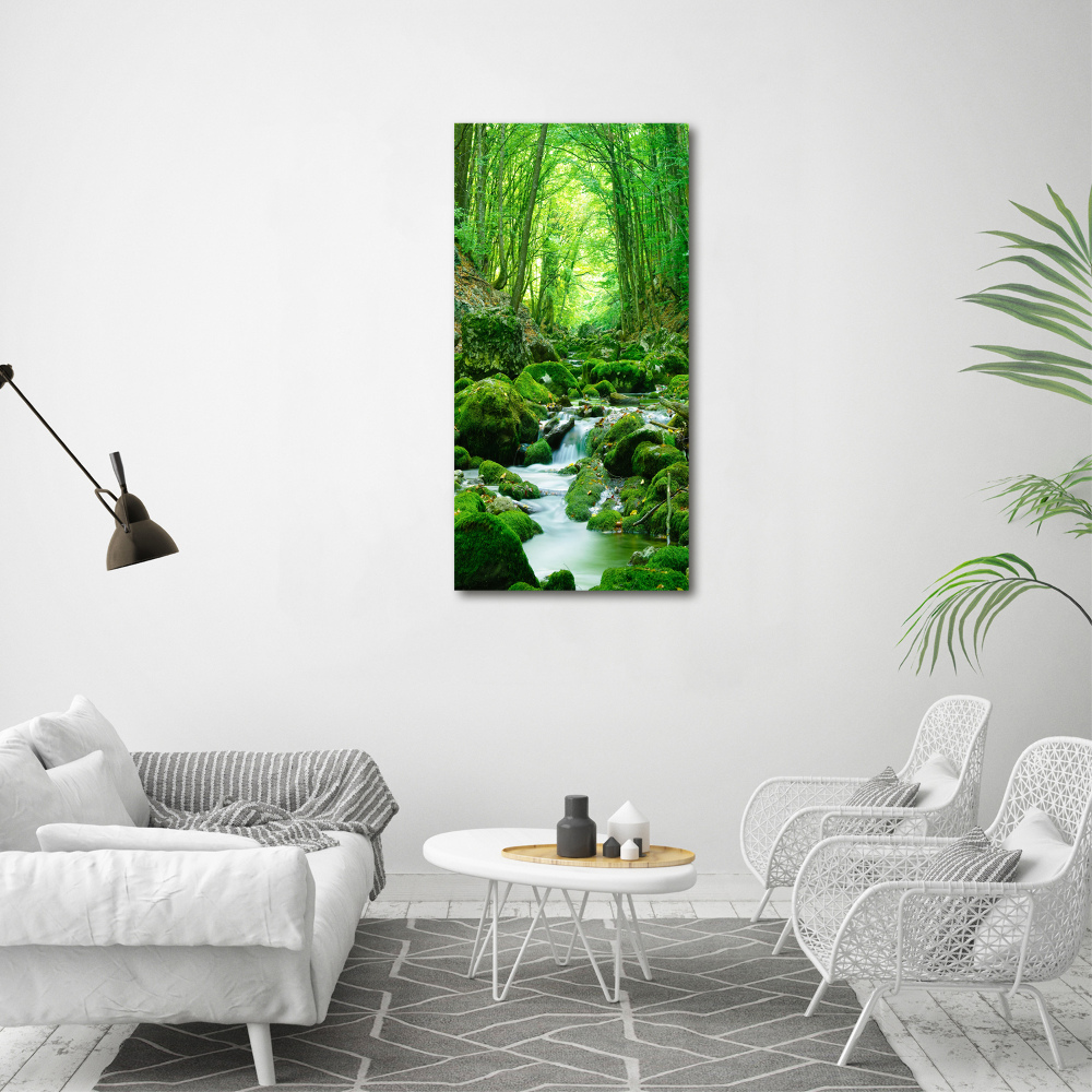 Wall art acrylic A stream in the jungle