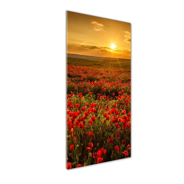 Wall art acrylic Mak�w field