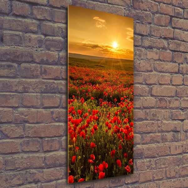 Wall art acrylic Mak�w field