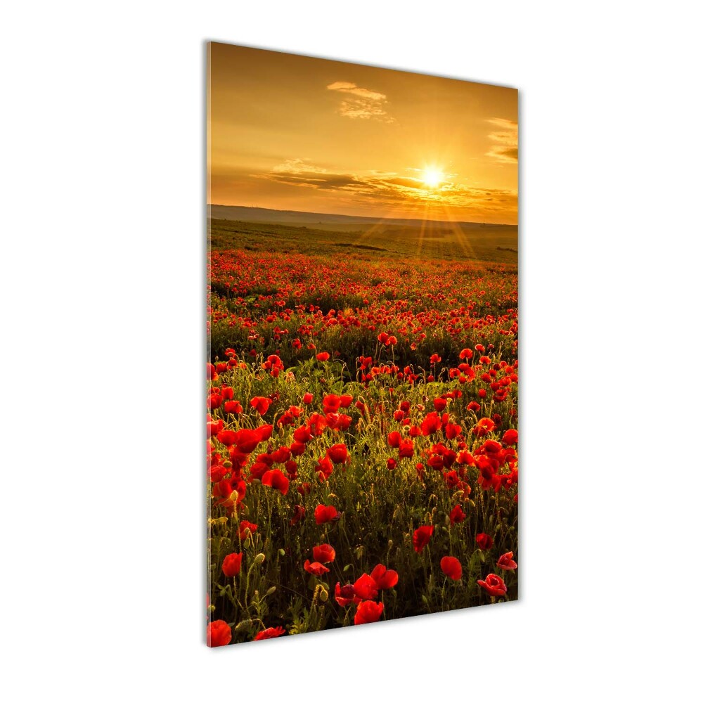 Wall art acrylic Mak�w field