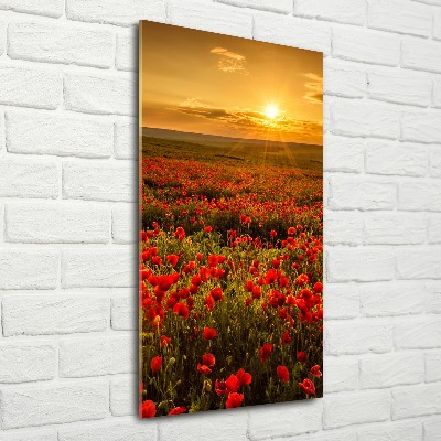 Wall art acrylic Mak�w field