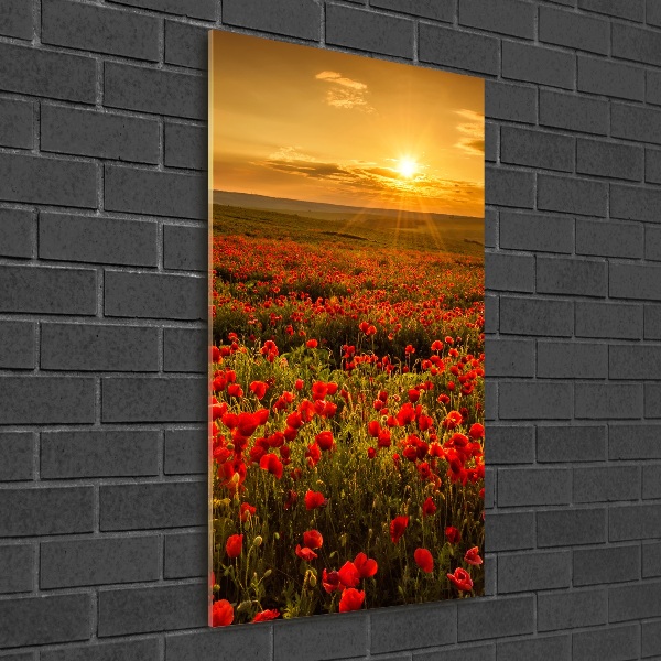 Wall art acrylic Mak�w field