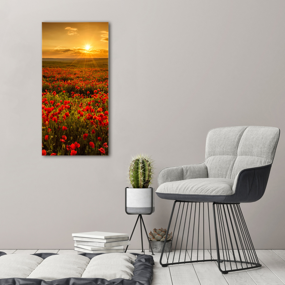 Wall art acrylic Mak�w field