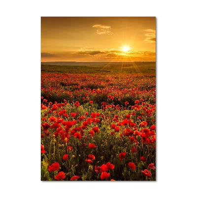 Wall art acrylic Mak�w field