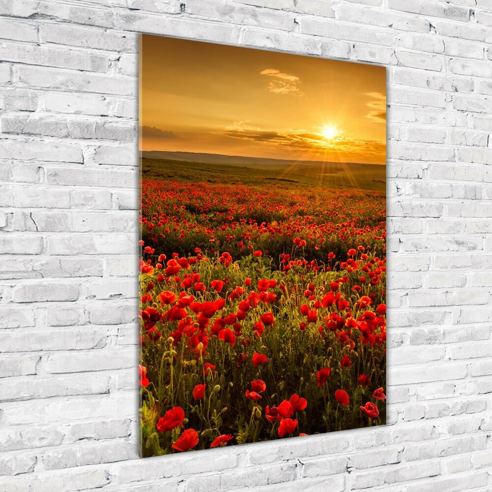 Wall art acrylic Mak�w field