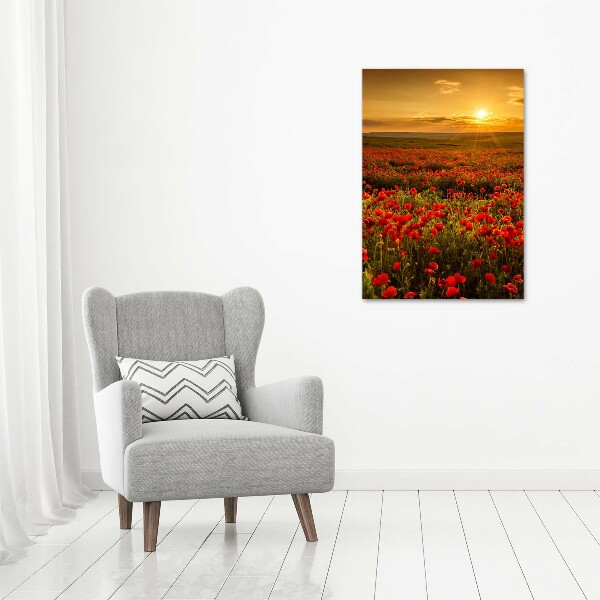 Wall art acrylic Mak�w field