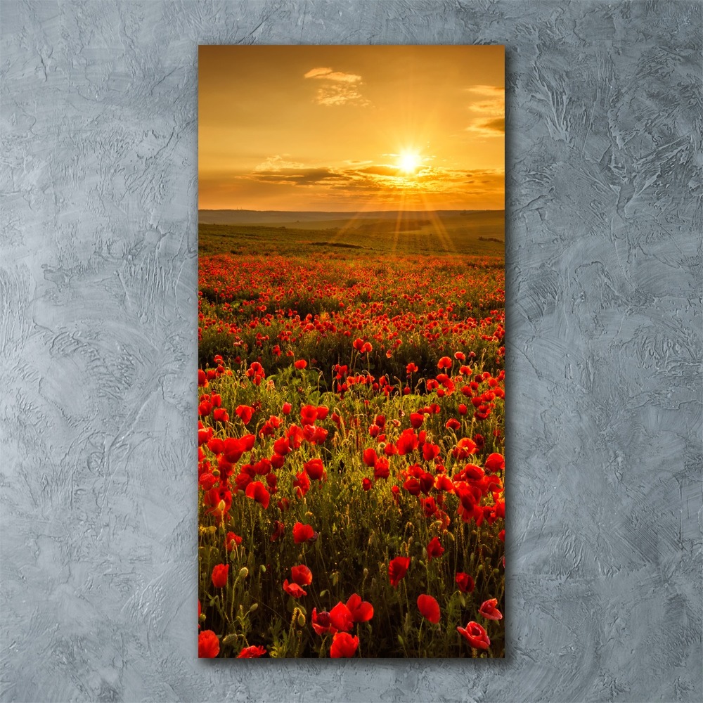 Wall art acrylic Mak�w field