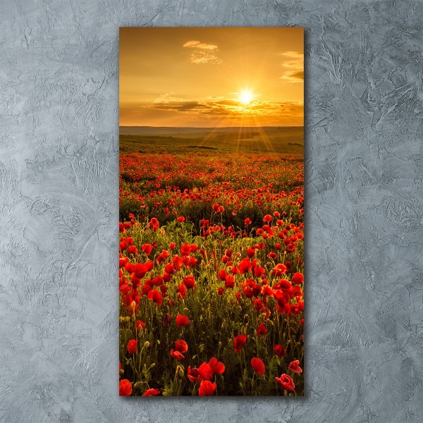 Wall art acrylic Mak�w field