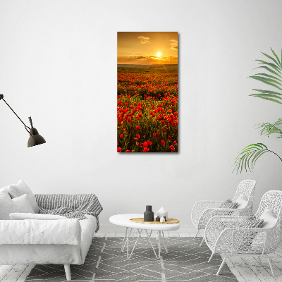 Wall art acrylic Mak�w field