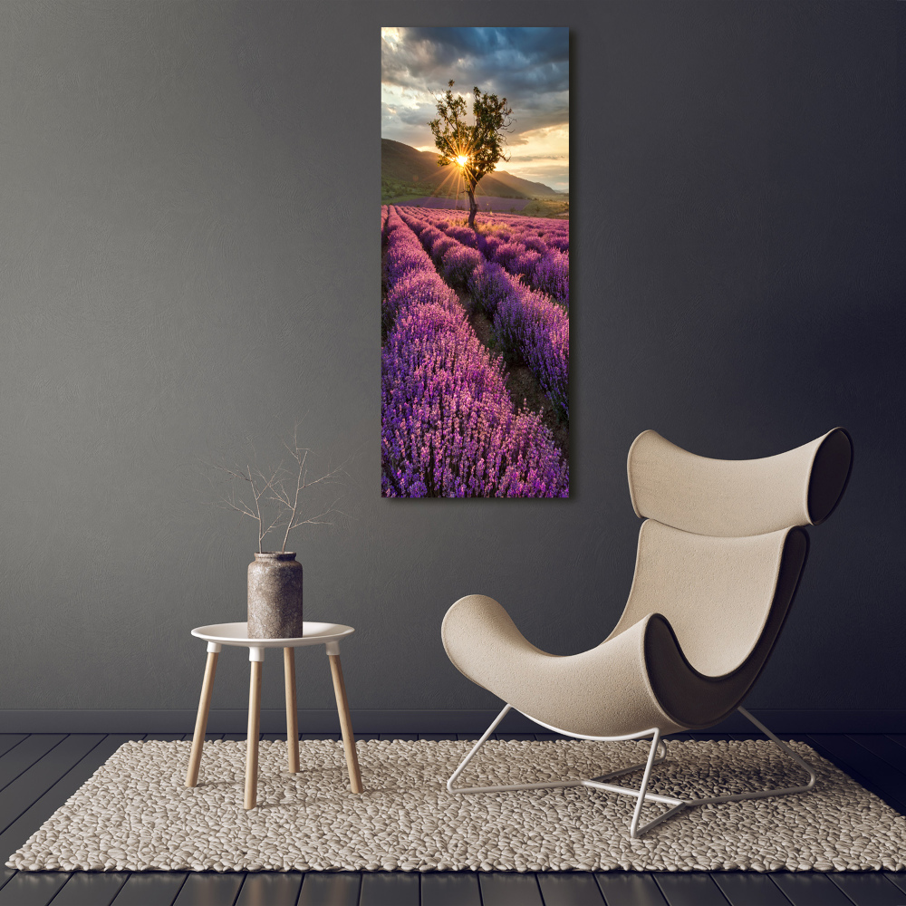 Acrylic wall art Lavender field