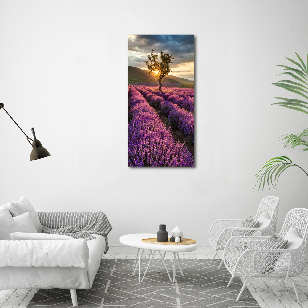 Acrylic wall art Lavender field