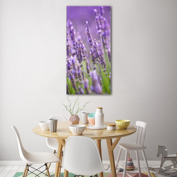 Print on acrylic Lavender field