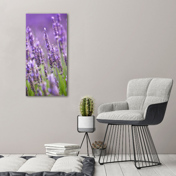 Print on acrylic Lavender field