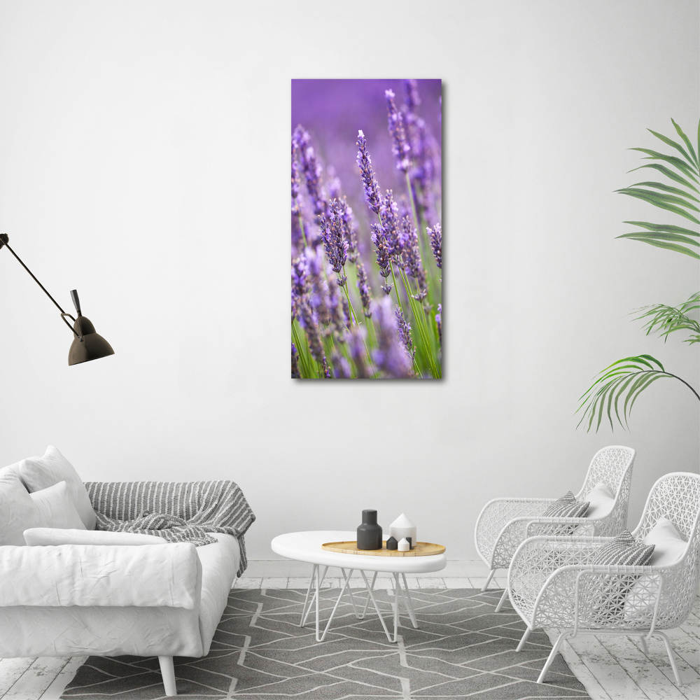 Print on acrylic Lavender field