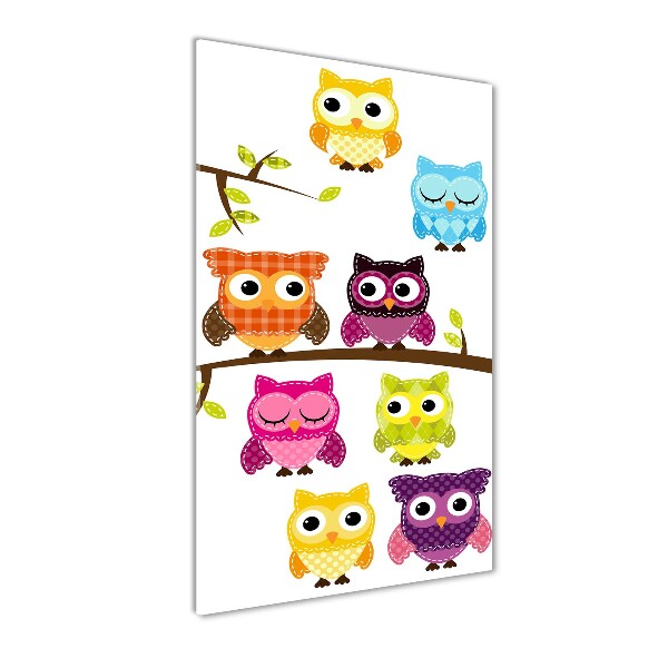 Acrylic wall art Colorful owls