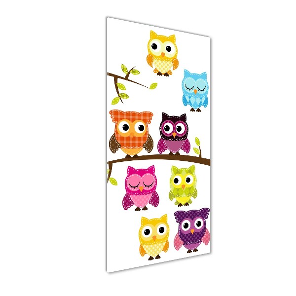 Acrylic wall art Colorful owls