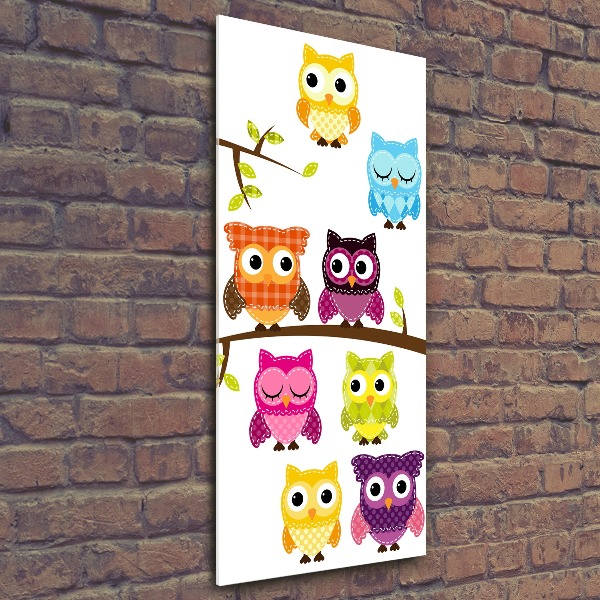 Acrylic wall art Colorful owls