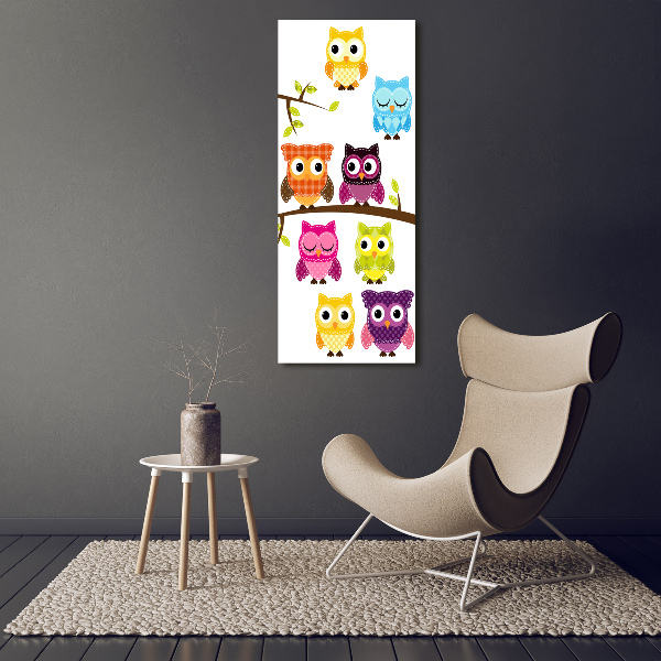 Acrylic wall art Colorful owls